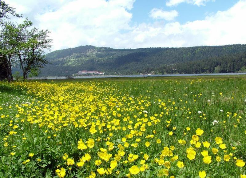 Hotel Abant Dort Mevsim Konagi Bolu Exteriér fotografie